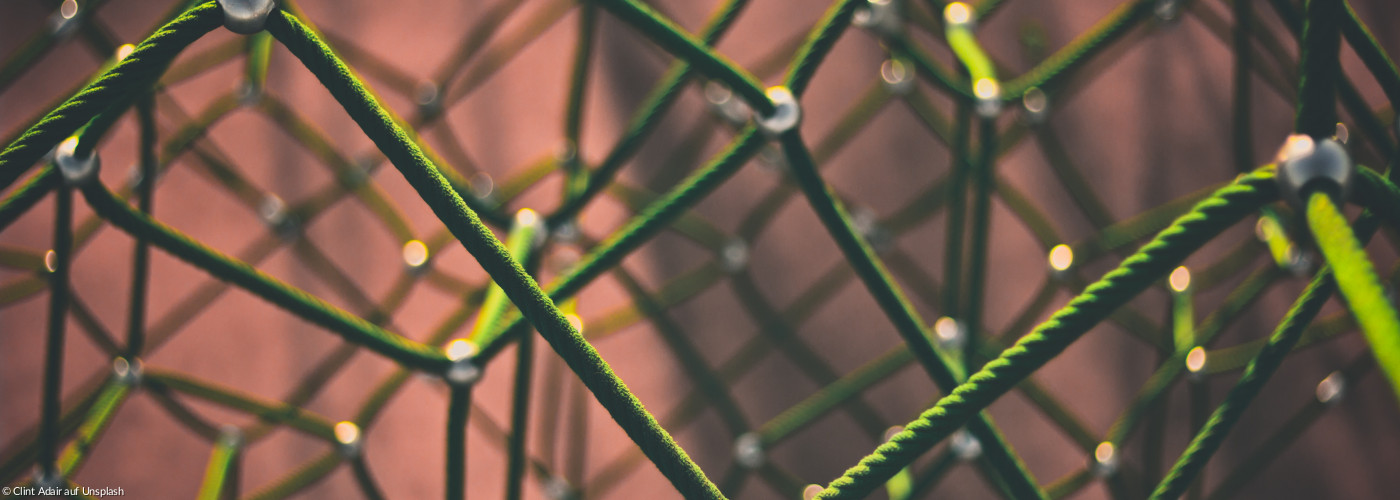 Netz